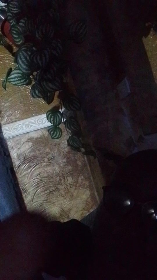 TikTok video thumbnail by anel_2332