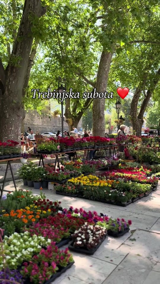 TikTok video thumbnail by _ratkoviceva