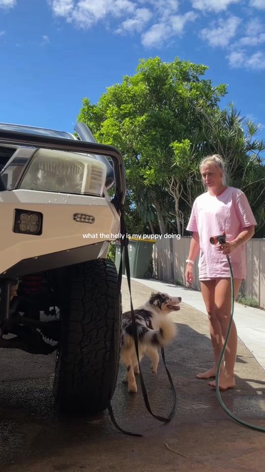 TikTok video thumbnail by kenziegreaves