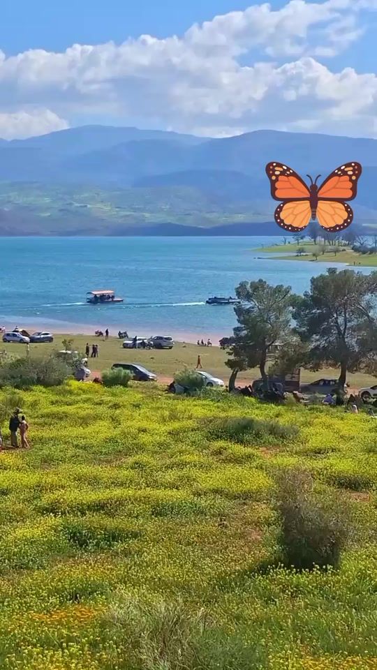 TikTok video thumbnail by jouhra22