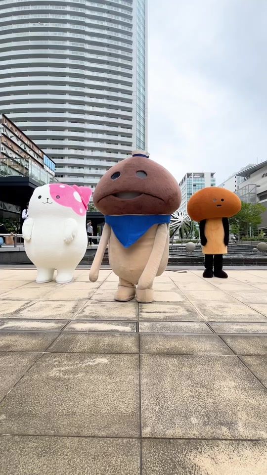 TikTok video thumbnail by nameko_nnf