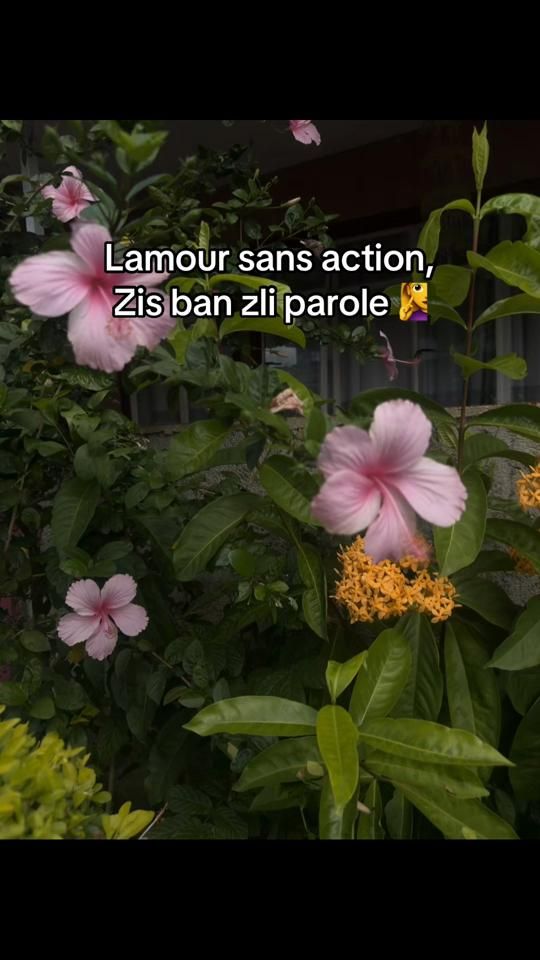 TikTok video thumbnail by keshhx.29