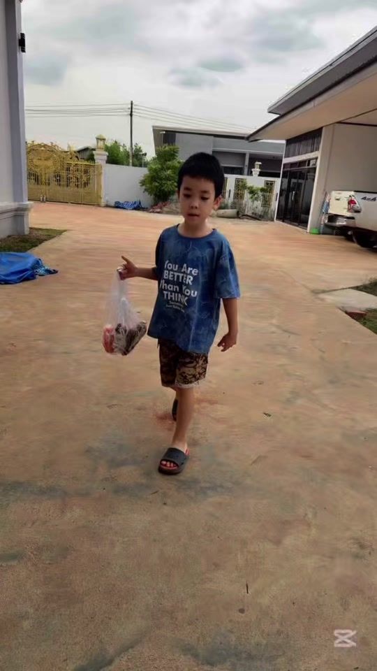 TikTok video thumbnail by sor_2899