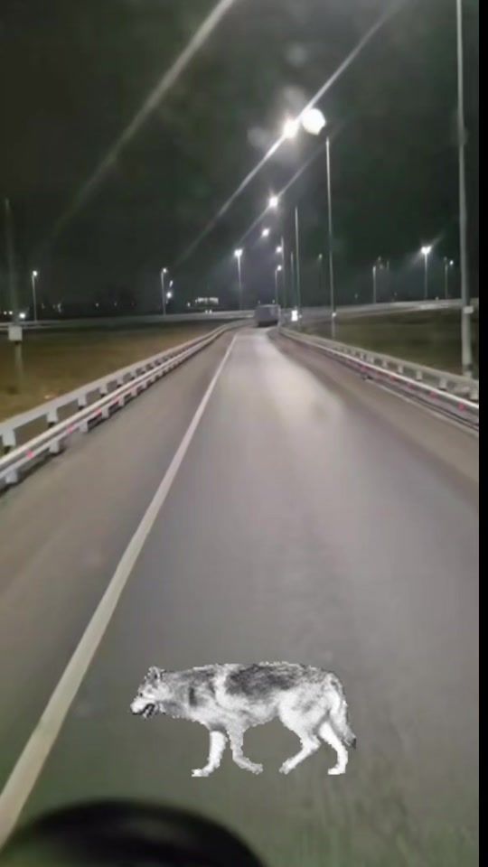 TikTok video thumbnail by _burzhui_