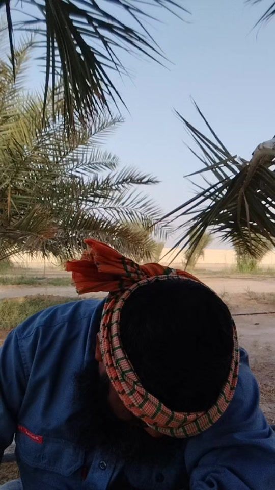 TikTok video thumbnail by mdsofik8555