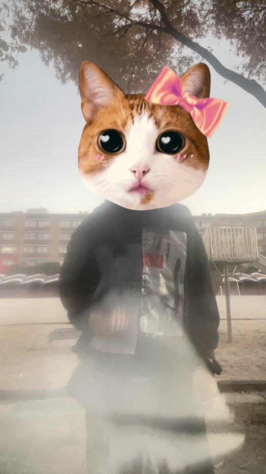 TikTok video thumbnail by user2906938178236