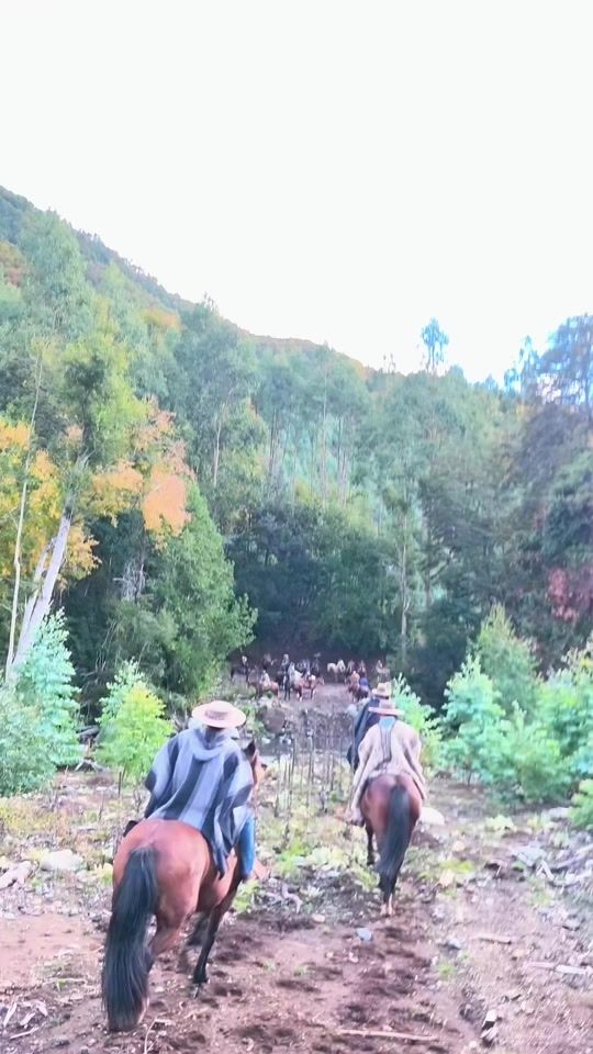 TikTok video thumbnail by guido.biobio