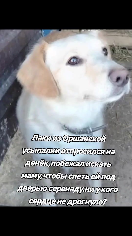 TikTok video thumbnail by natalliarey
