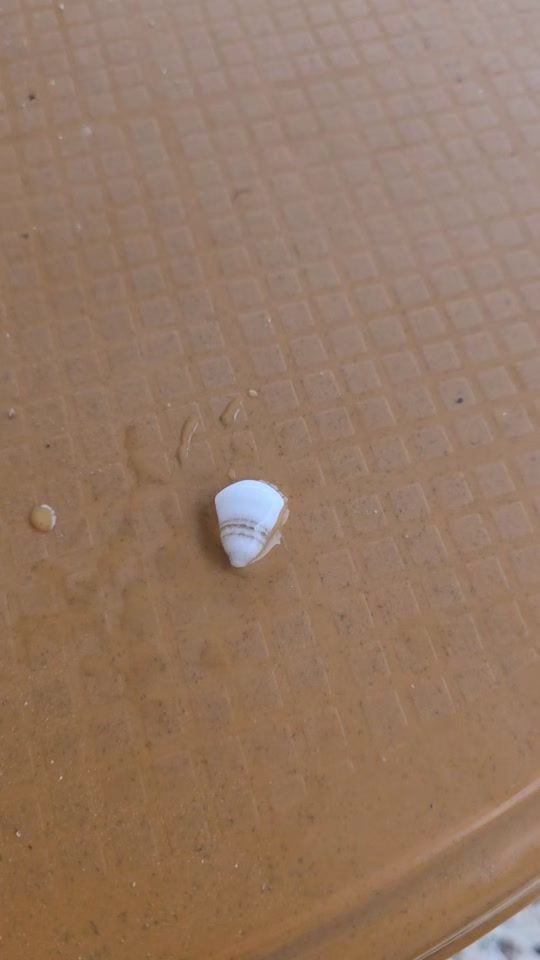 TikTok video thumbnail by rawad.dawod.dawod