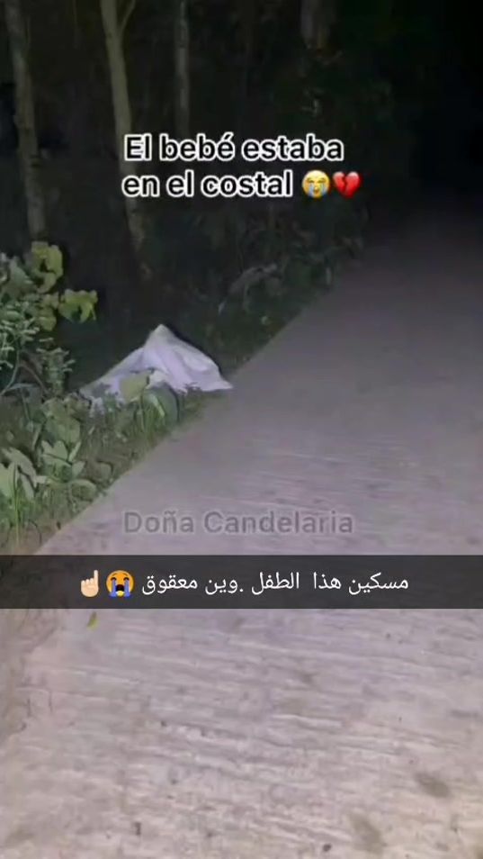 TikTok video thumbnail by fareed.57