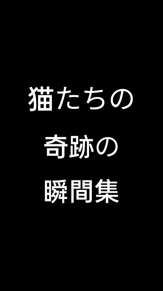 TikTok video thumbnail by shotime391