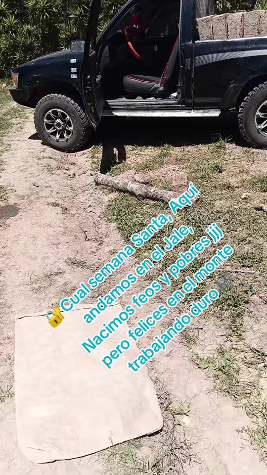 TikTok video thumbnail by fincaaguilar