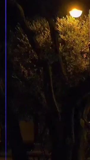 TikTok video thumbnail by jabil_96
