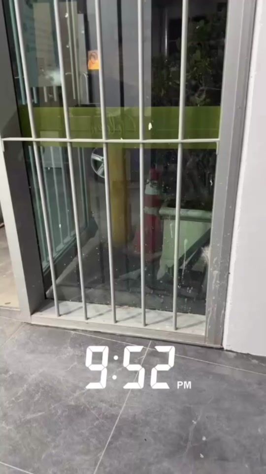 TikTok video thumbnail by dolly_in_action1