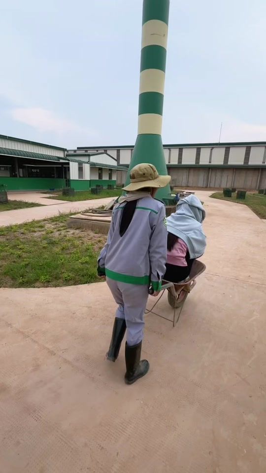 TikTok video thumbnail by brao2k9