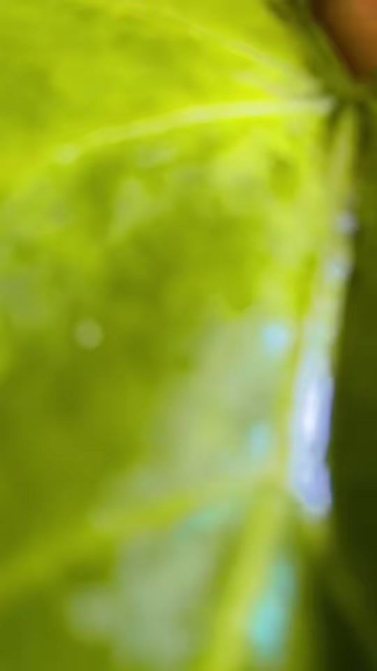 TikTok video thumbnail by pabitasingh14