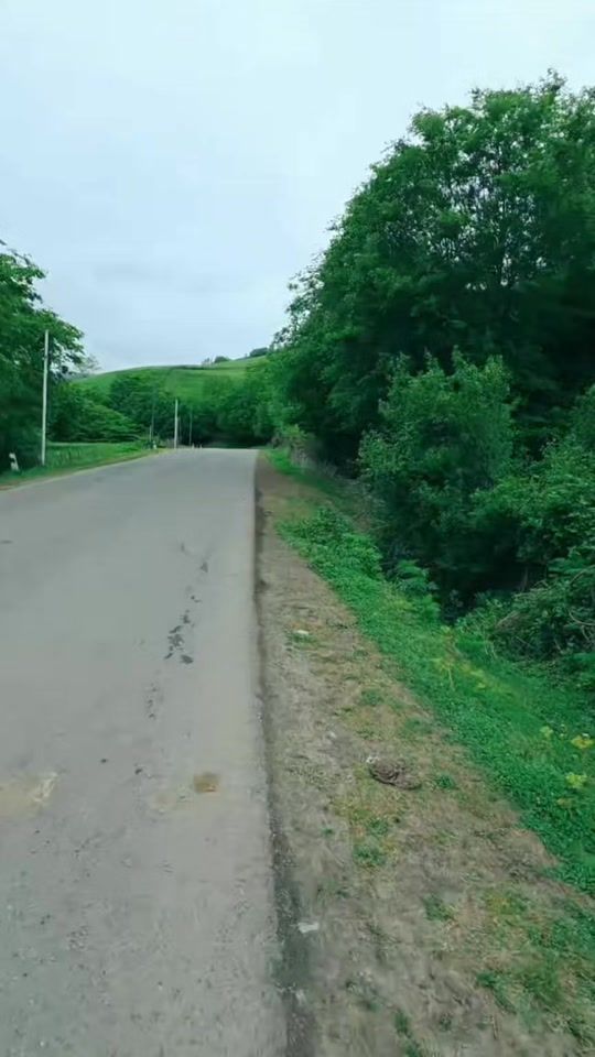 TikTok video thumbnail by official.com991