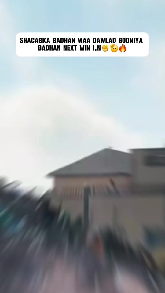 TikTok video thumbnail by generalseyga
