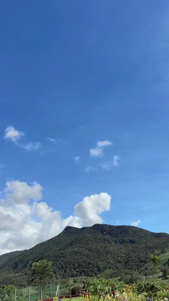 TikTok video thumbnail by sayu._uuu
