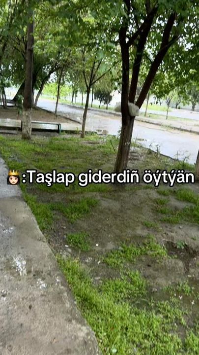 TikTok video thumbnail by psix_mma