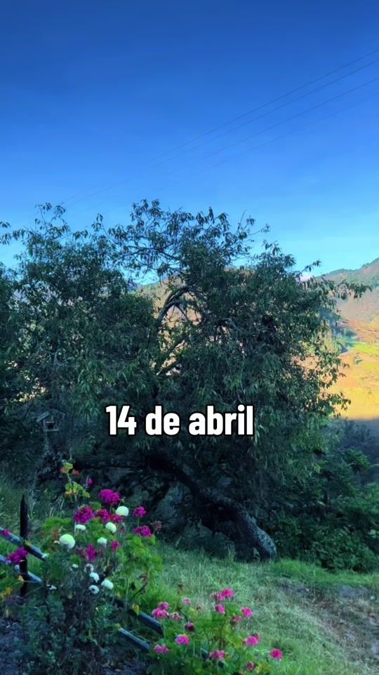 TikTok video thumbnail by arieee.l