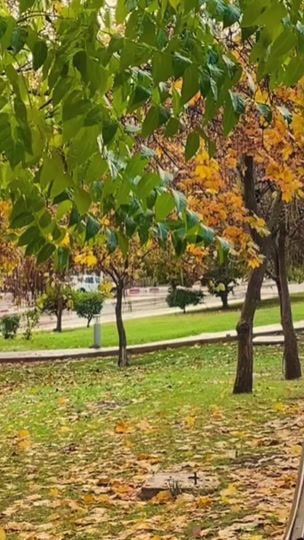 TikTok video thumbnail by ifrane_city_23