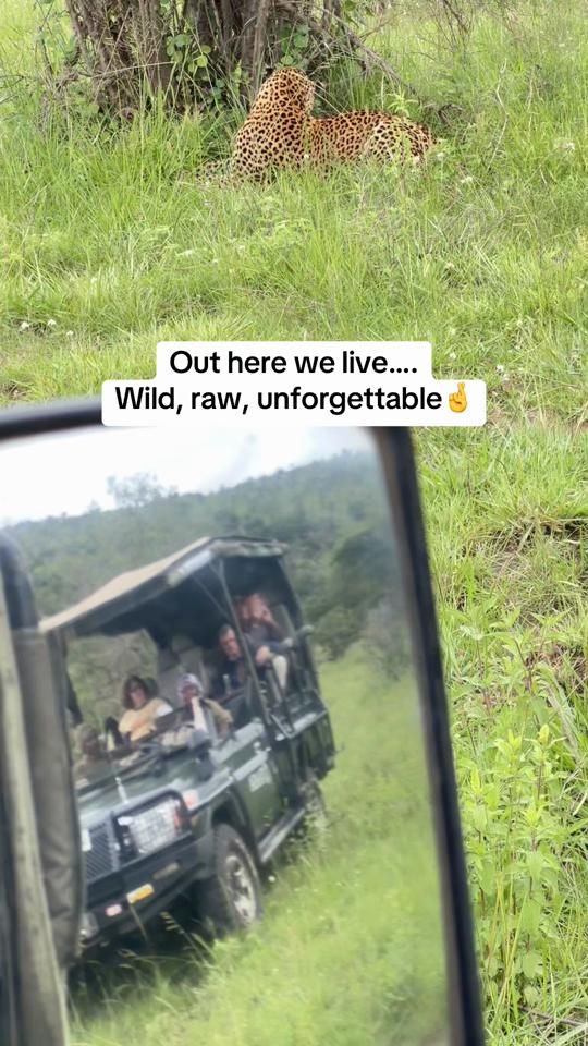 TikTok video thumbnail by bewild01