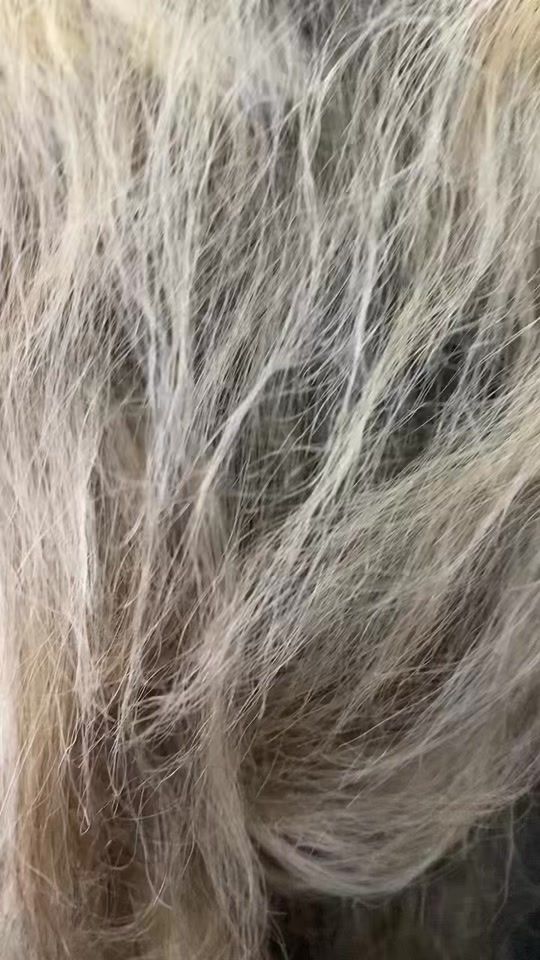 TikTok video thumbnail by mcha3kak_studio