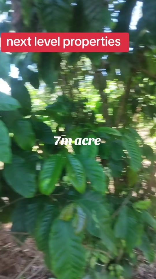 TikTok video thumbnail by kabuye.charles
