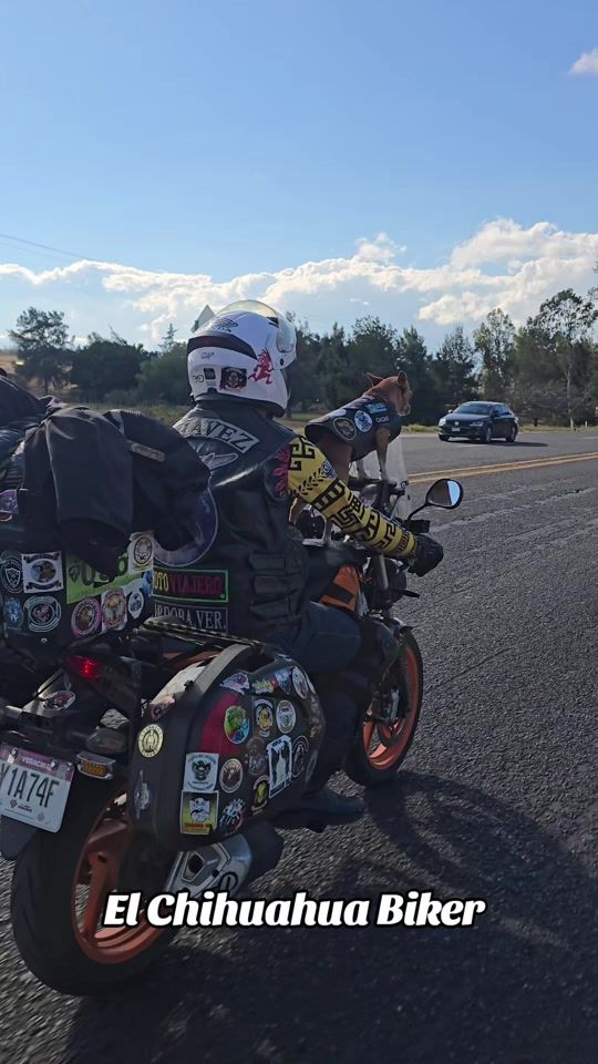 TikTok video thumbnail by biker.motovlog.50
