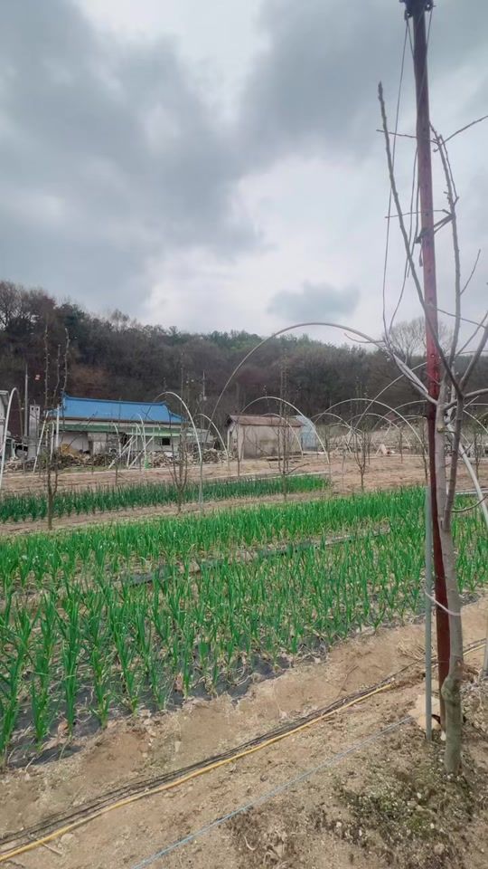 TikTok video thumbnail by run_183