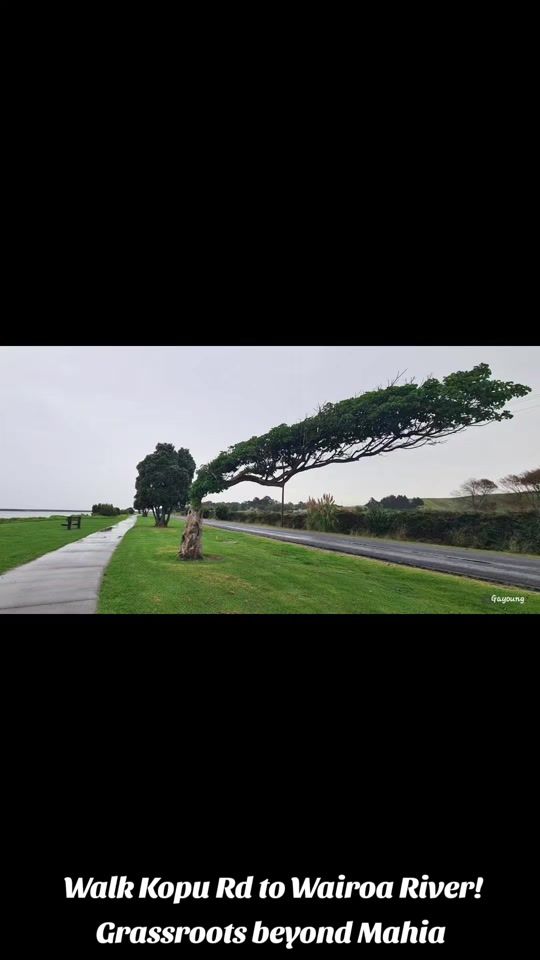 TikTok video thumbnail by grassroots.beyond