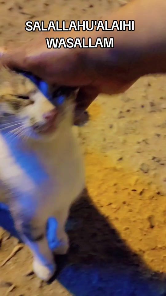 TikTok video thumbnail by sanimamule