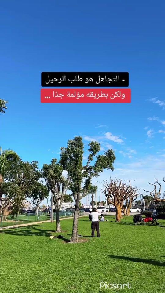 TikTok video thumbnail by user7443847631205