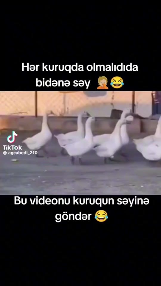 TikTok video thumbnail by shehla1983