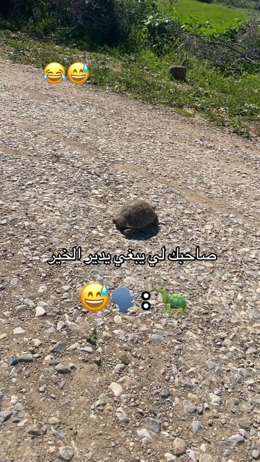 TikTok video thumbnail by imad_bac_2026