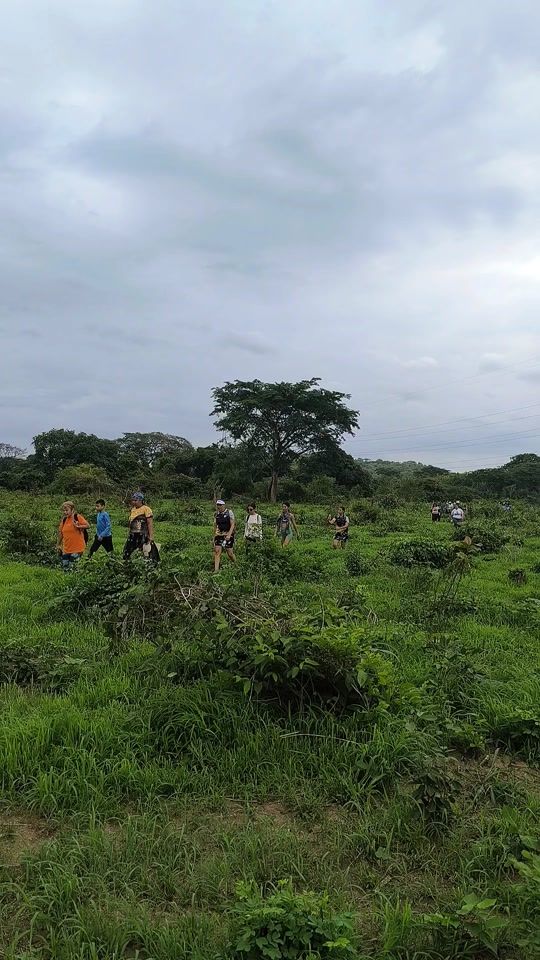 TikTok video thumbnail by vigirimaapatica