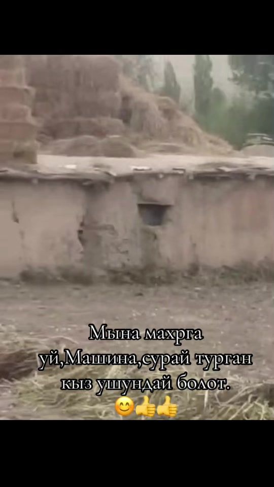 TikTok video thumbnail by _alatooluk_jigit