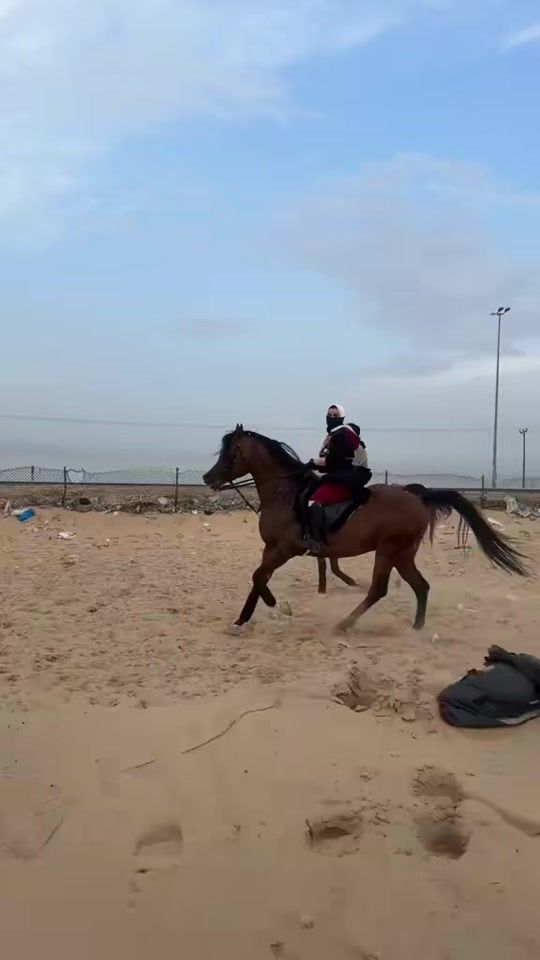 TikTok video thumbnail by by.shale