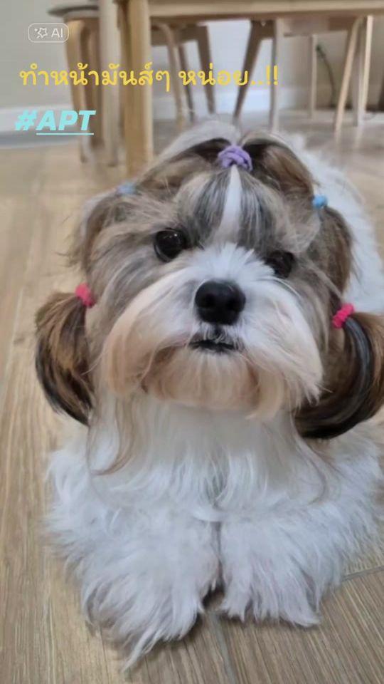 TikTok video thumbnail by im_isara
