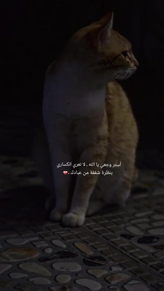 TikTok video thumbnail by _almtym_