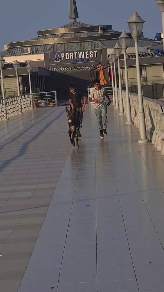 TikTok video thumbnail by sumqayit_devesi