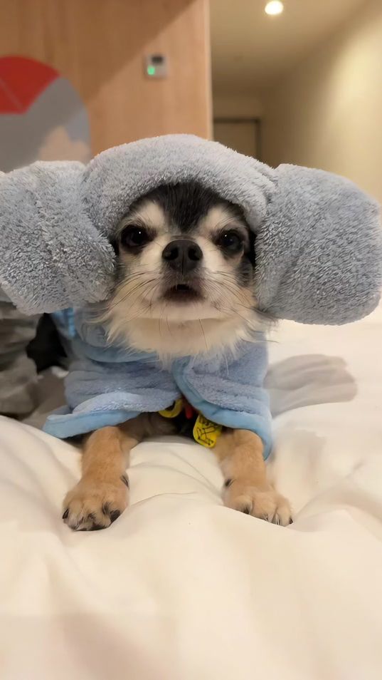 TikTok video thumbnail by kinakofu