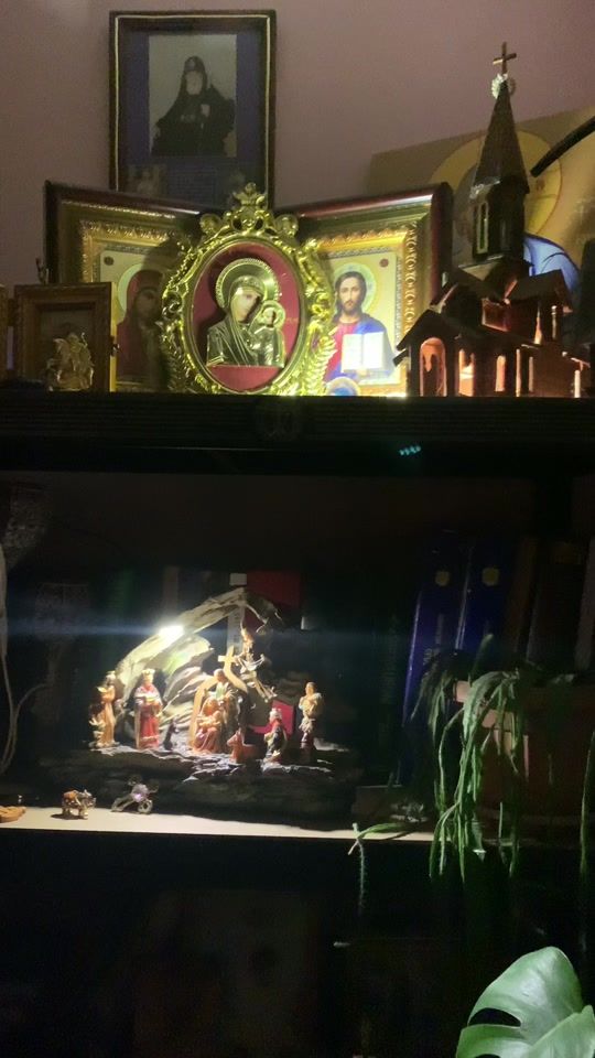 TikTok video thumbnail by mrwamsi