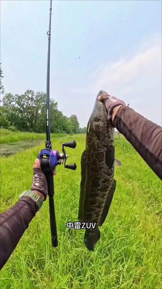 TikTok video thumbnail by yun08261