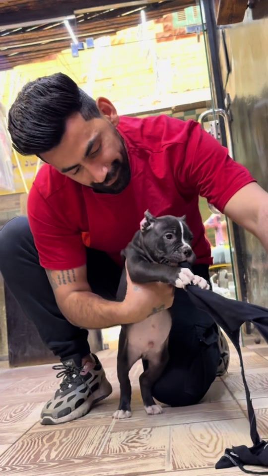 TikTok video thumbnail by beshoy_safwat0