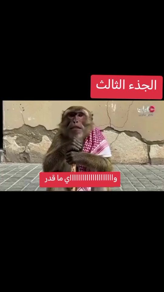 TikTok video thumbnail by .2302180