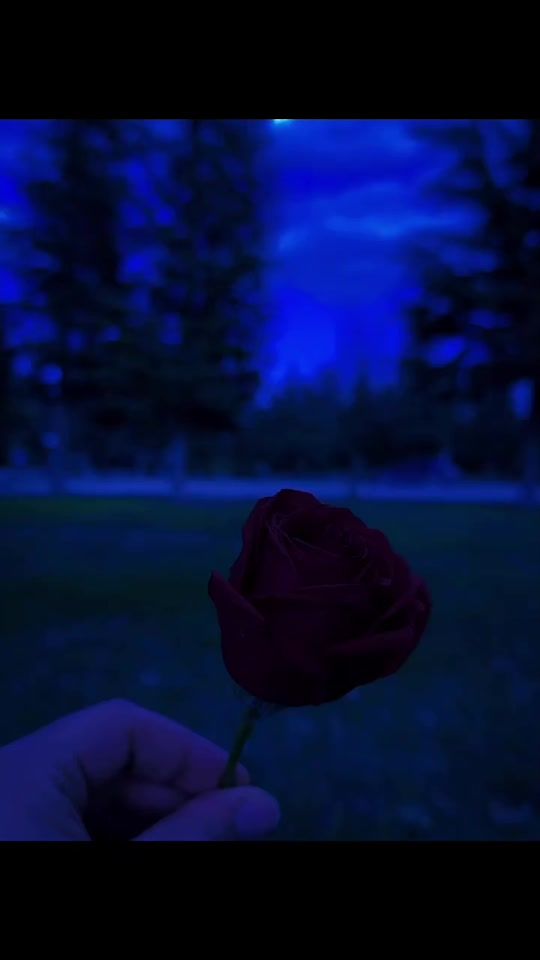 TikTok video thumbnail by veylor.void