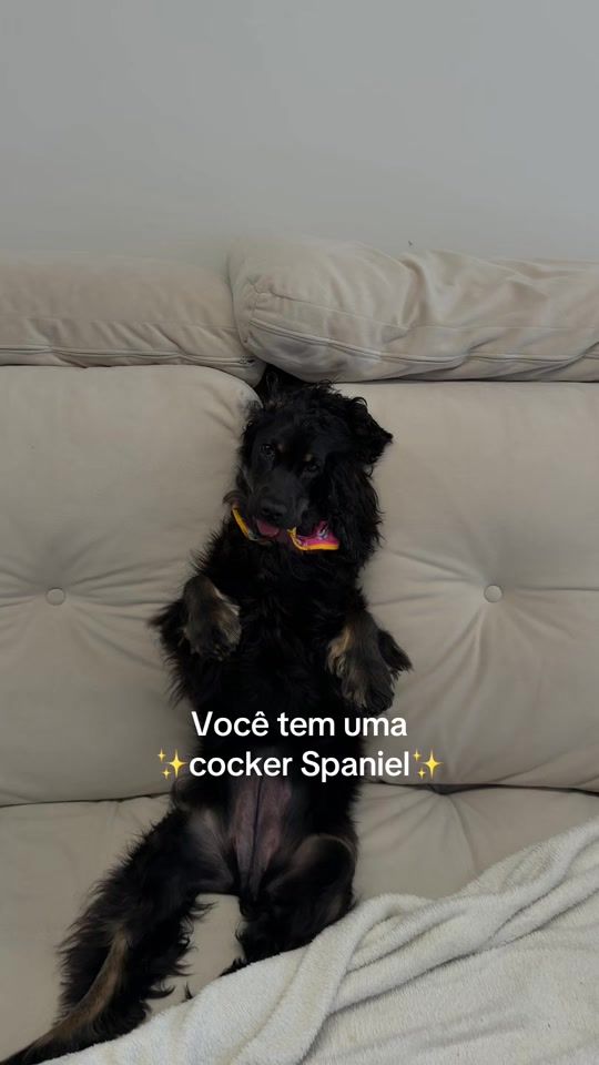 TikTok video thumbnail by allanasantiagoo