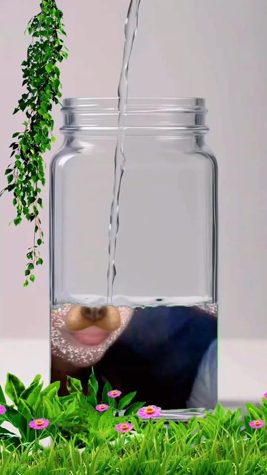 TikTok video thumbnail by userr008388.1